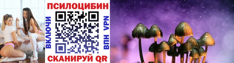 Псилоцибиновые грибы Magic Shrooms  Купить где  Георгиевск 